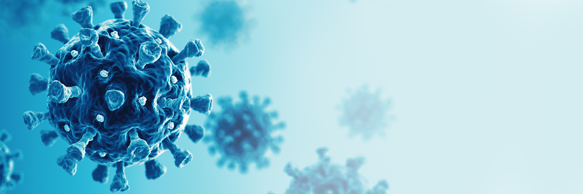 COVID-19 Virus